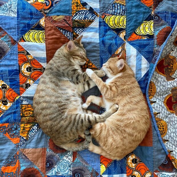 Quiltfolk Cats - Image 5